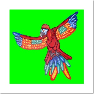 Red Majestic Flying Macaw Posters and Art